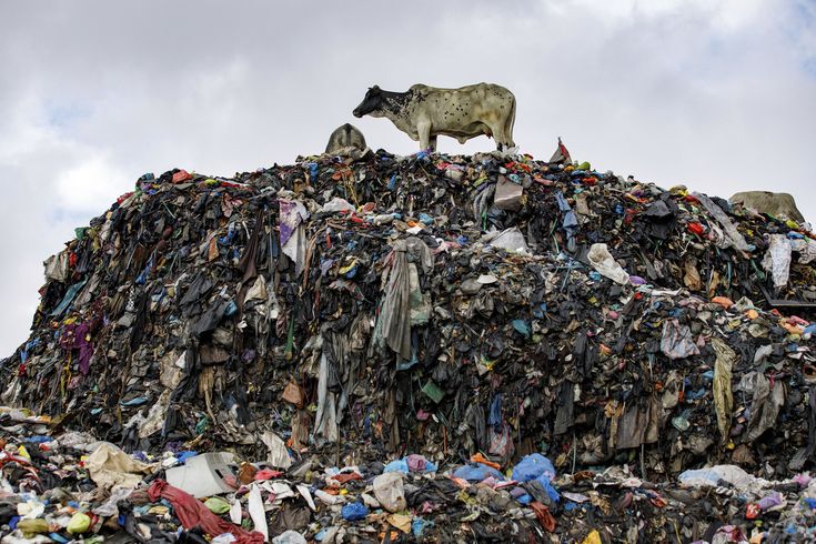 Why textile waste matters? impact of fast fashion