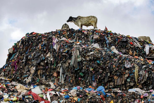 Why textile waste matters? impact of fast fashion
